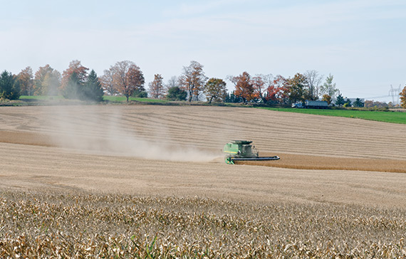 Canada_Crops