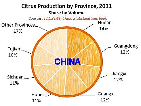 china_citrus_production